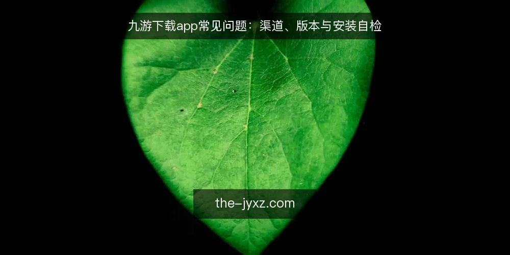 九游下载app常见问题:渠道、版本与安装自检 — 下载九游app前,先弄清这几个问题? 配图